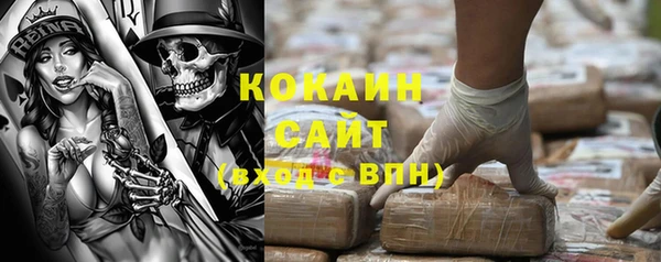 тгк Алзамай