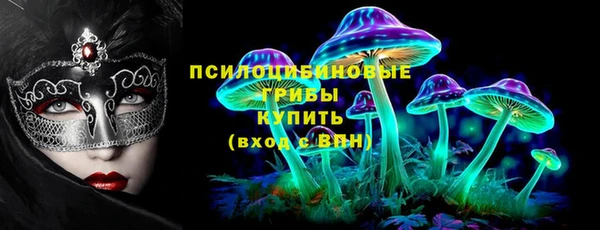 тгк Алзамай
