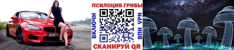 Псилоцибиновые грибы GOLDEN TEACHER Большой Камень
